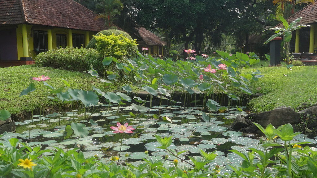 Taj Kumarakom Resort And Spa Kerala Exterior photo